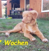 Darwin_17Wochen