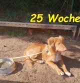 Darwin_25Wochen